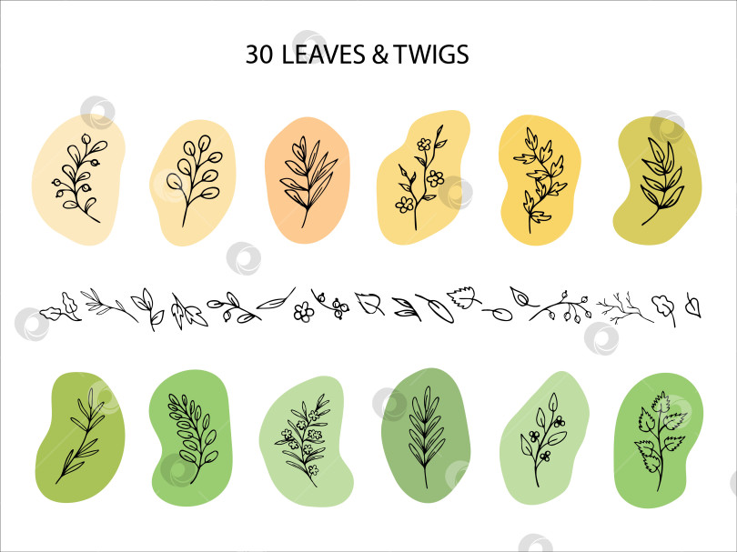 Скачать Листья и веточки в виде цветных пятен. Элементы летнего дизайна, нарисованные вручную фотосток Ozero