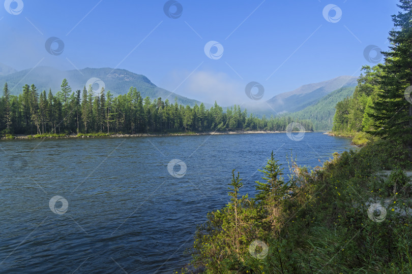 Скачать Утро на берегу горной реки. фотосток Ozero