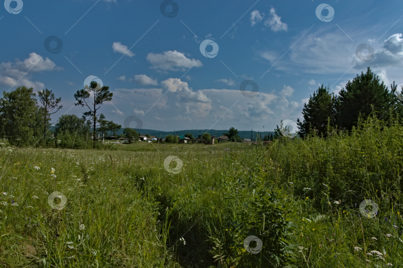 Скачать Сельский луг фотосток Ozero