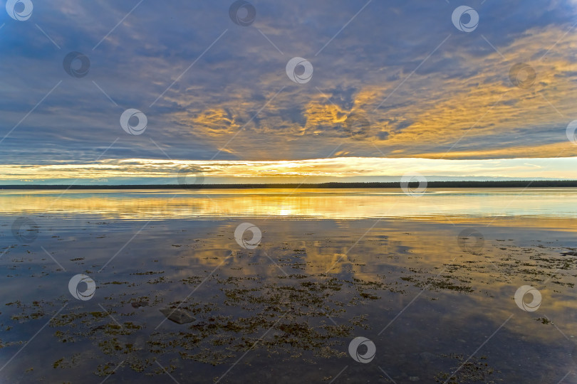 Скачать Вечер на берегу Белого моря. фотосток Ozero