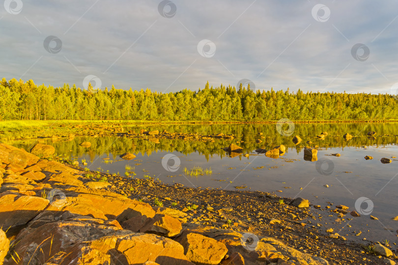 Скачать Берег Белого моря в лучах вечернего солнца. фотосток Ozero