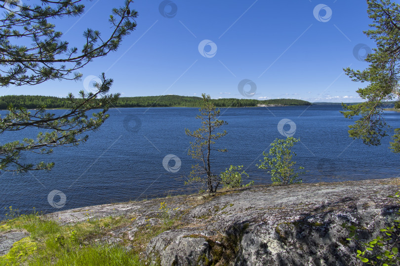 Скачать Берег Белого моря в солнечный летний день. фотосток Ozero