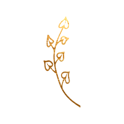 [object Object] undefined