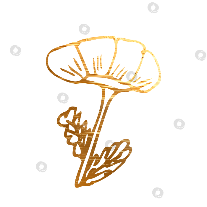 Скачать Золотой цветок на прозрачном фоне. фотосток Ozero