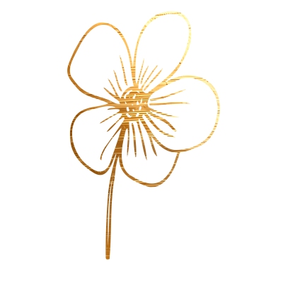[object Object] undefined