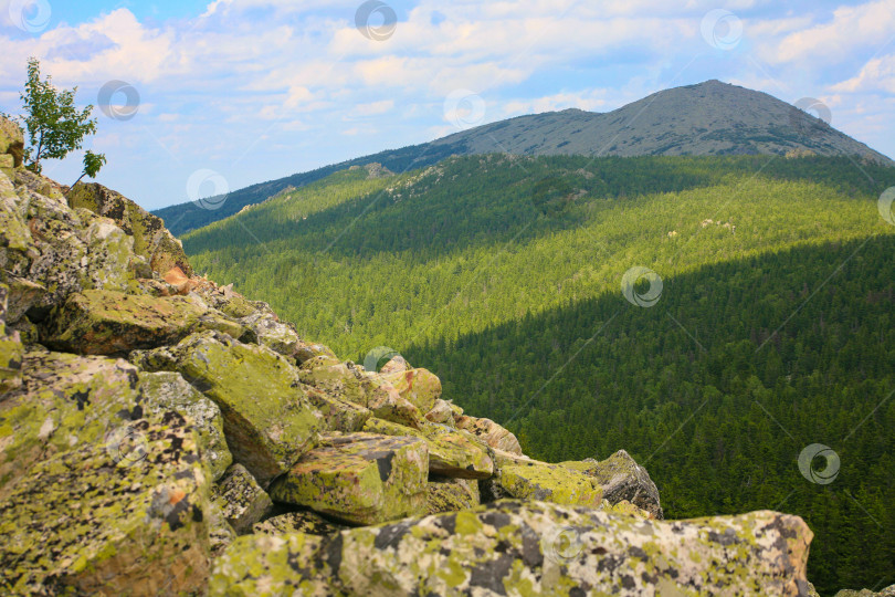 Скачать летний горный пейзаж фотосток Ozero