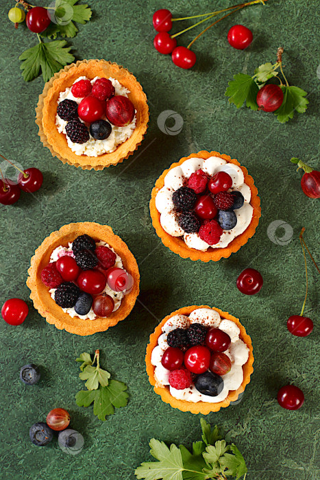 Скачать Вкусные тарталетки со свежими ягодами - малиной, вишней, крыжовником и черникой. Кексы с нежным творожным кремом, летний десерт. Концепция современной пекарни, реклама кафе, ресторана, меню. фотосток Ozero