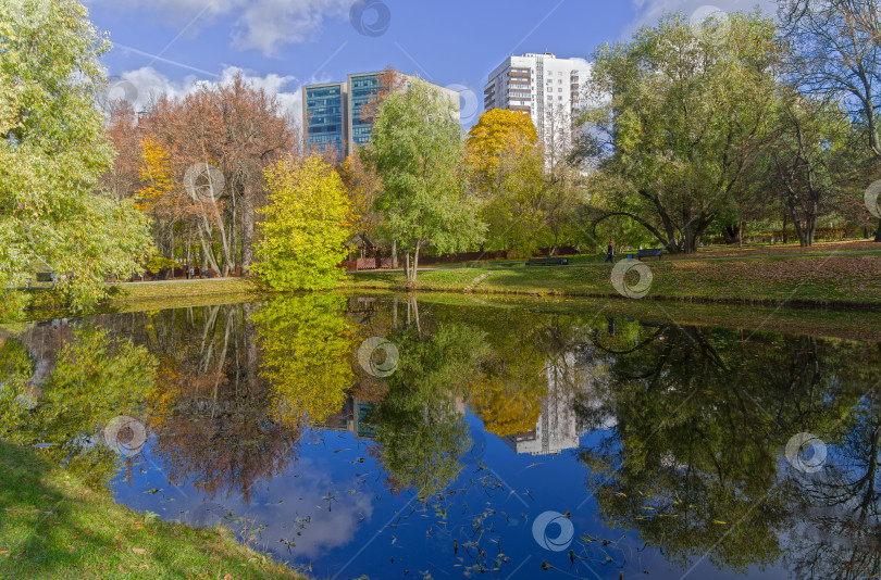 Скачать Пруд в городском парке. Октябрь. фотосток Ozero