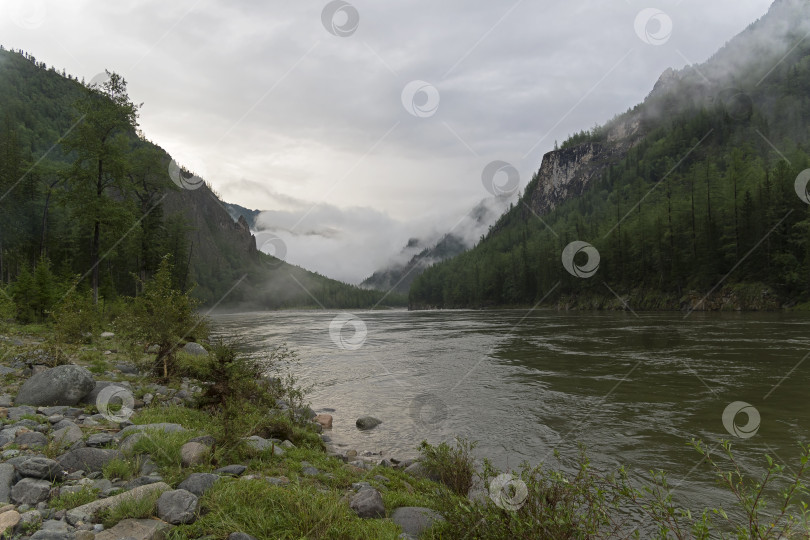 Скачать Низкие облака в горном ущелье. фотосток Ozero