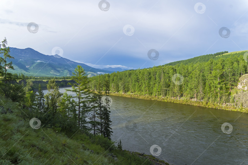 Скачать Высокие крутые берега реки. Сибирь. фотосток Ozero