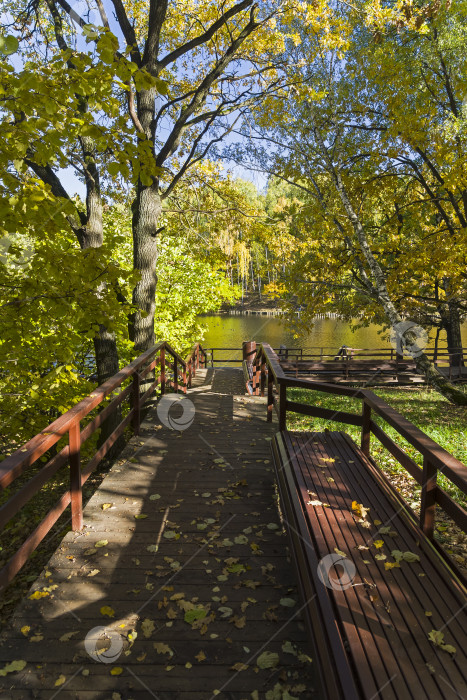 Скачать Золотая осень в лесопарке. фотосток Ozero