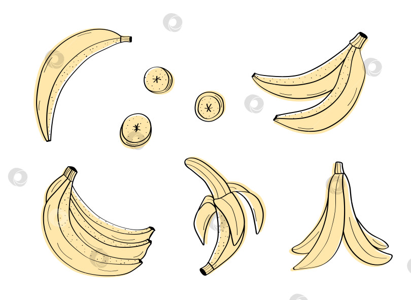 Скачать Набор иконок для эскизов с изображением банановых фруктов. Концепция векторной иллюстрации для диеты, здорового питания, стиля каракули. фотосток Ozero