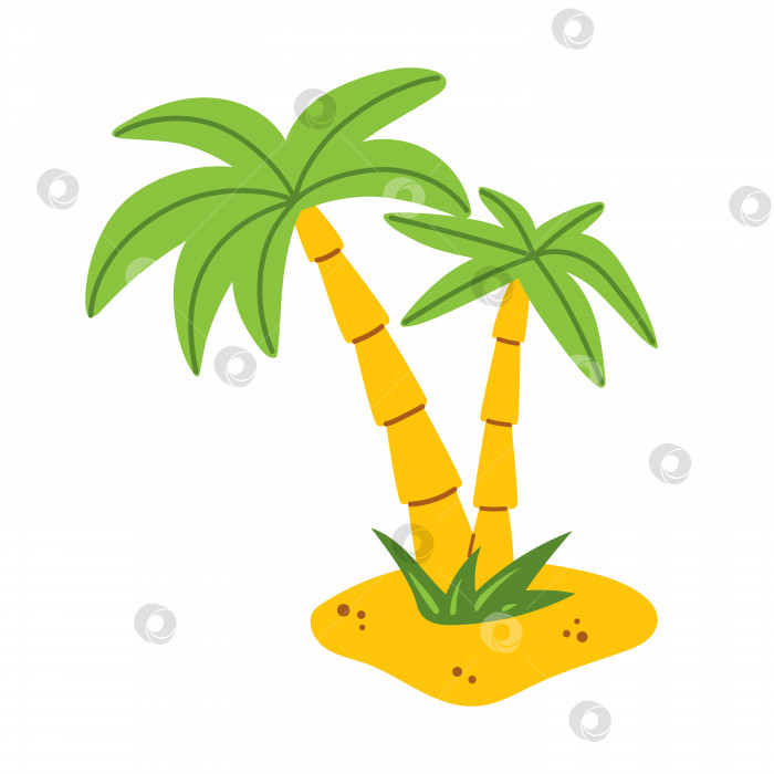 Скачать Векторная пальма в плоском дизайне. Две пальмы на пляже. Тропическая кокосовая пальма с зелеными листьями. Экзотический летний пейзаж с пальмами. фотосток Ozero