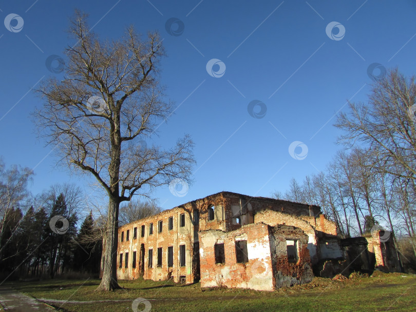 Скачать Разрушенная усадьба Демьяново в городе Клин фотосток Ozero