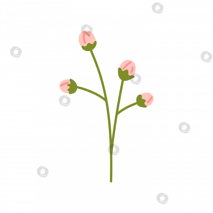 Скачать Векторная иллюстрация веточки со светло-розовыми бутонами. Растение с мягкими цветочными бутонами в плоском дизайне. Цветок розового цвета. Весенняя ботаническая иллюстрация. фотосток Ozero