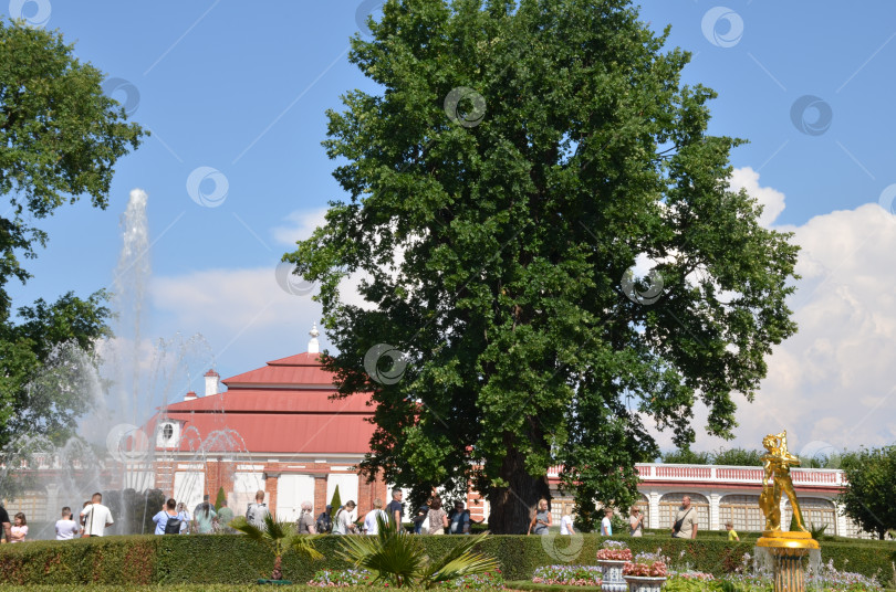 Скачать Санкт-Петербург, Россия – 07.27.2024: Дворец Монплезир, Монплезирский сад: фонтан Сноп и фонтан-колокол со статуей Фавн, в Нижнем парке Государственного музея-заповедника Петергоф в Санкт-Петербурге в ясный летний день фотосток Ozero