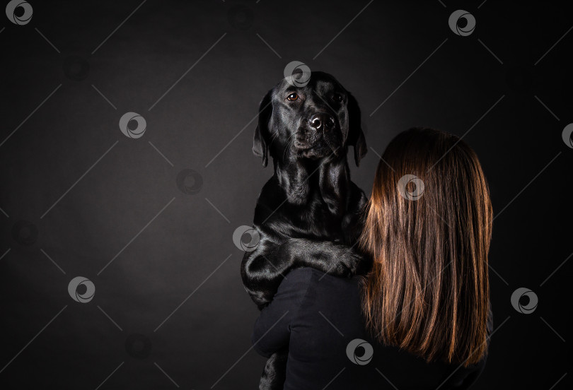 Скачать Девушка держит на руках собаку породы лабрадор-ретривер. фотосток Ozero