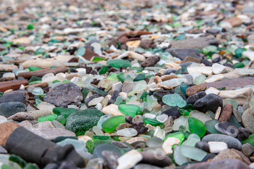 Скачать Фон из пляжных камней с зелеными камнями фотосток Ozero