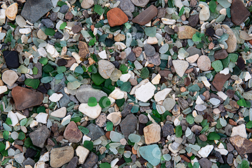 Скачать Фон из пляжных камней с зелеными камнями фотосток Ozero