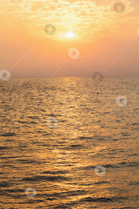 Скачать Красивый закат на море с отражением солнечного света в воде фотосток Ozero