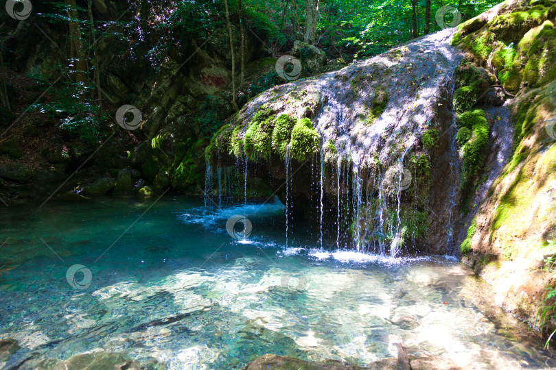 Скачать Красивый водопад в густом лесу фотосток Ozero