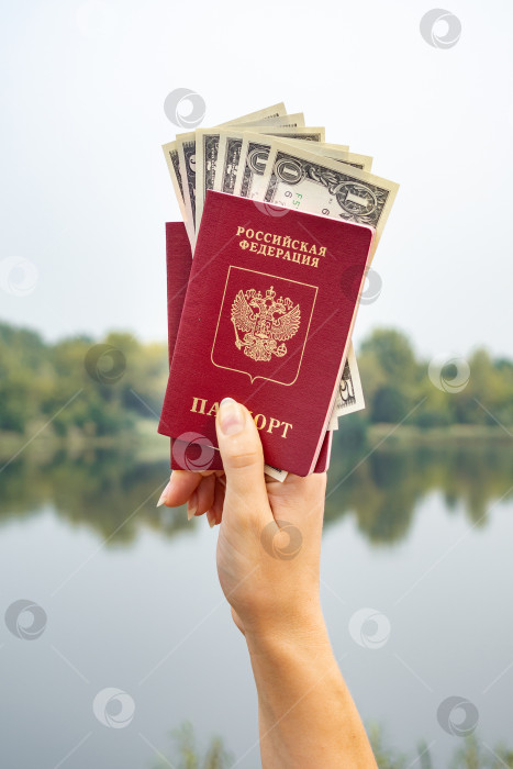 Скачать Заграничный паспорт и доллары в руке, на фоне природы. фотосток Ozero