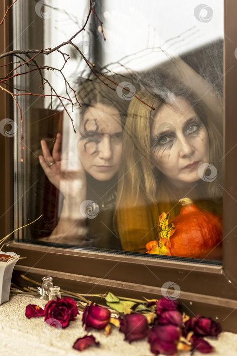 Скачать Две женщины-ведьмы зловеще смотрят сквозь паутину в окно на фоне декораций Хэллоуина. Маскарад, вечеринка в честь Хэллоуина фотосток Ozero