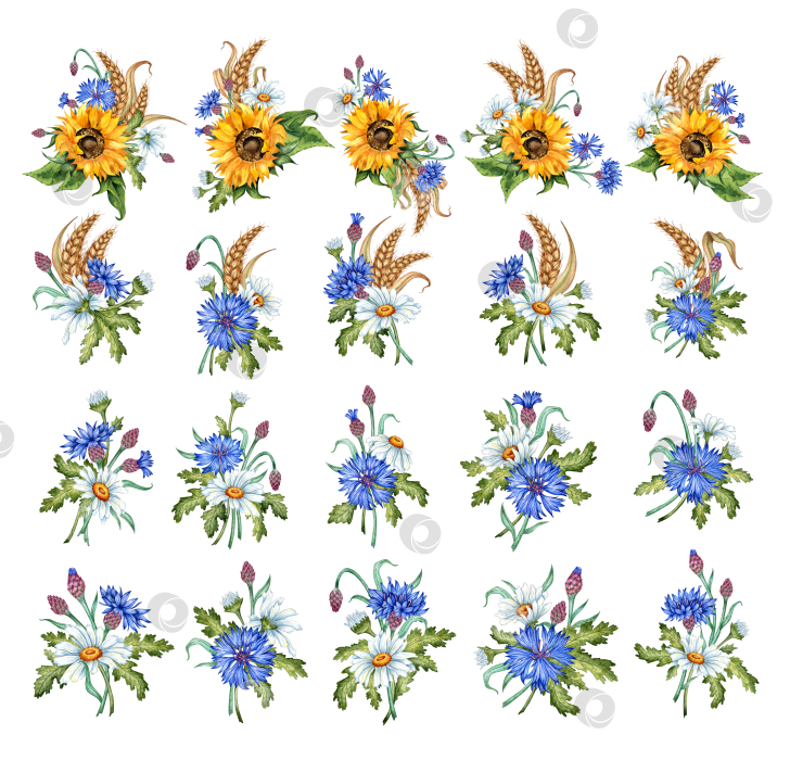 Скачать Набор бутоньерок подсолнухи ромашки васильки и колосья пшеницы акварель фотосток Ozero