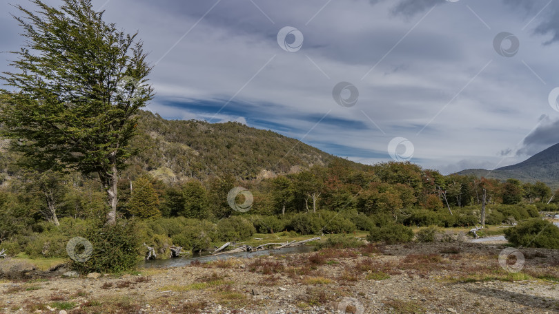 Скачать Прекрасный осенний пейзаж Патагонии. фотосток Ozero