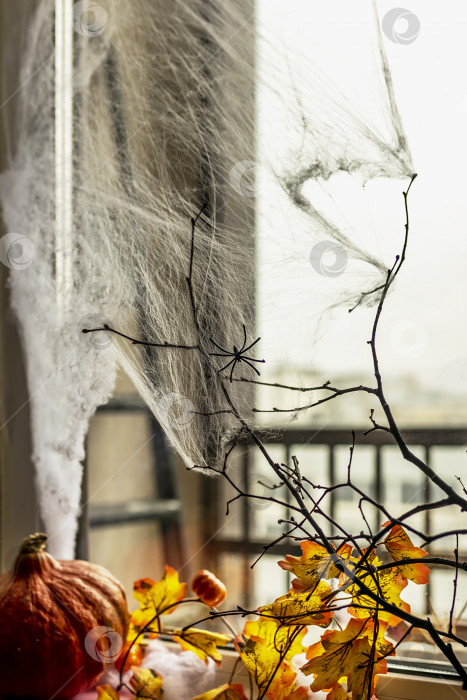 Скачать Концепция Хэллоуина, украшенное окно паутиной, осенними желтыми листьями, голыми ветвями деревьев и тыквой на темном фоне фотосток Ozero