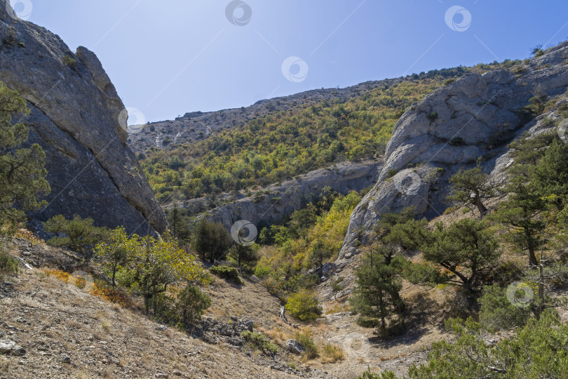 Скачать Небольшое ущелье в Крымских горах. фотосток Ozero