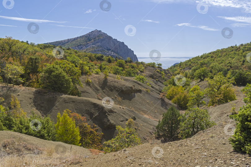 Скачать Небольшой овраг в горном лесу. фотосток Ozero