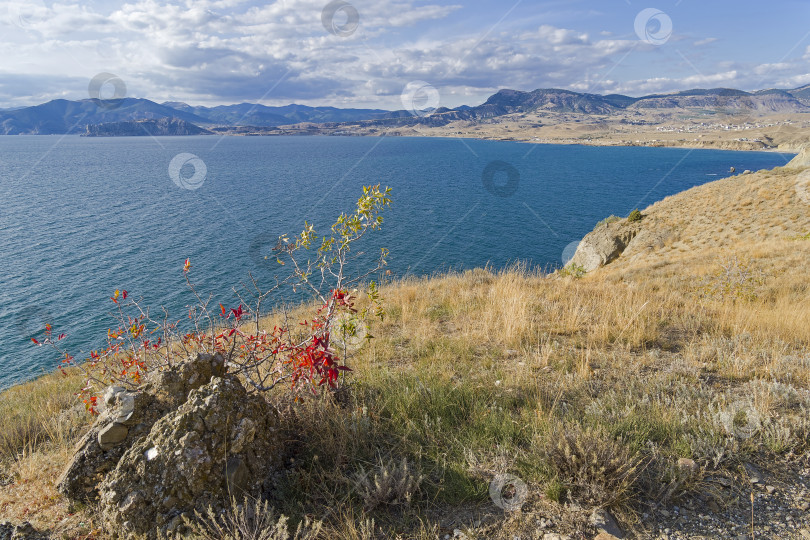 Скачать Берег Черного моря. Крым. фотосток Ozero