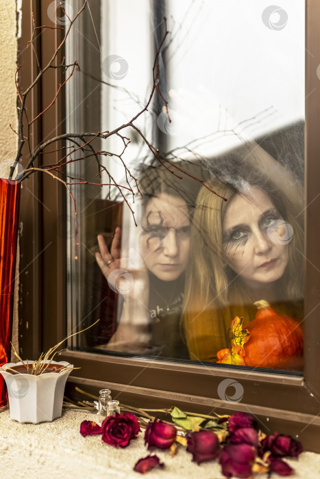 Скачать Две женщины-ведьмы зловеще смотрят сквозь паутину в окно на фоне декораций Хэллоуина. Маскарад, вечеринка на Хэллоуин фотосток Ozero