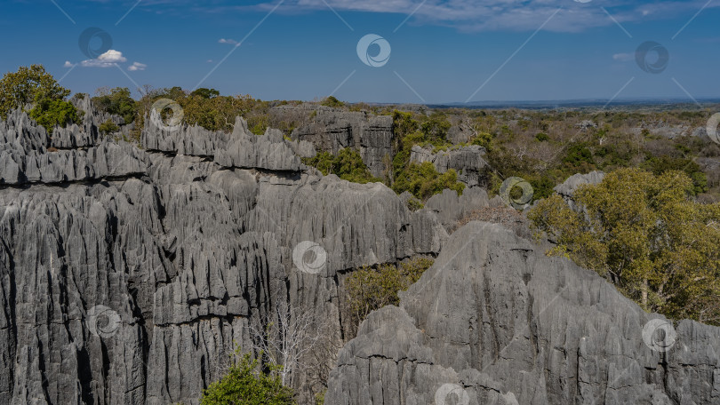 Скачать Уникальный ландшафт Мадагаскара. Серые карстовые скалы фотосток Ozero