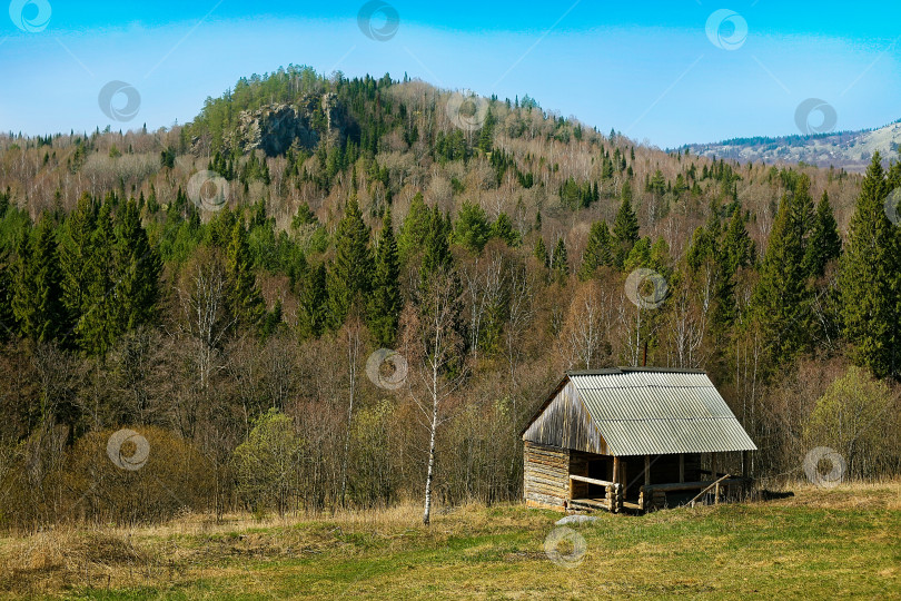 Скачать парк Зюраткуль, Урал, Россия фотосток Ozero