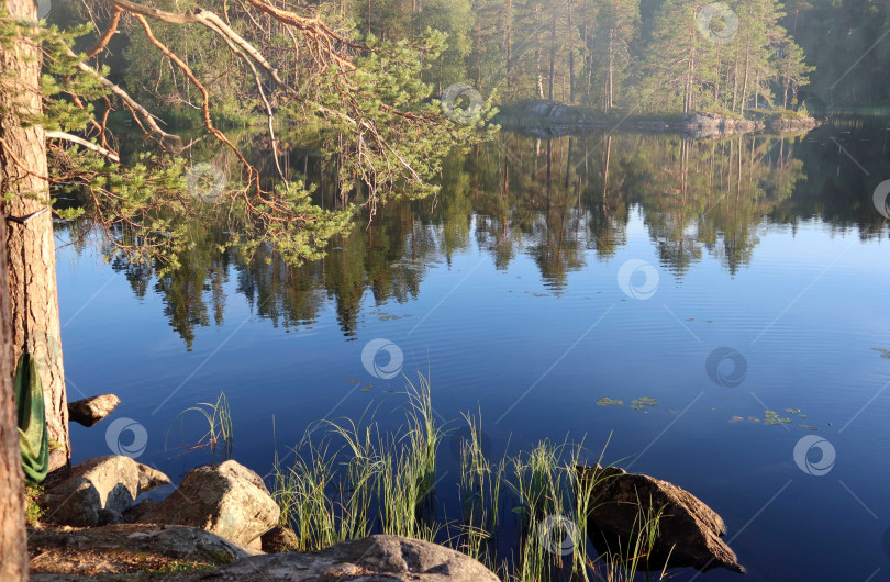 Скачать Утро на реке фотосток Ozero