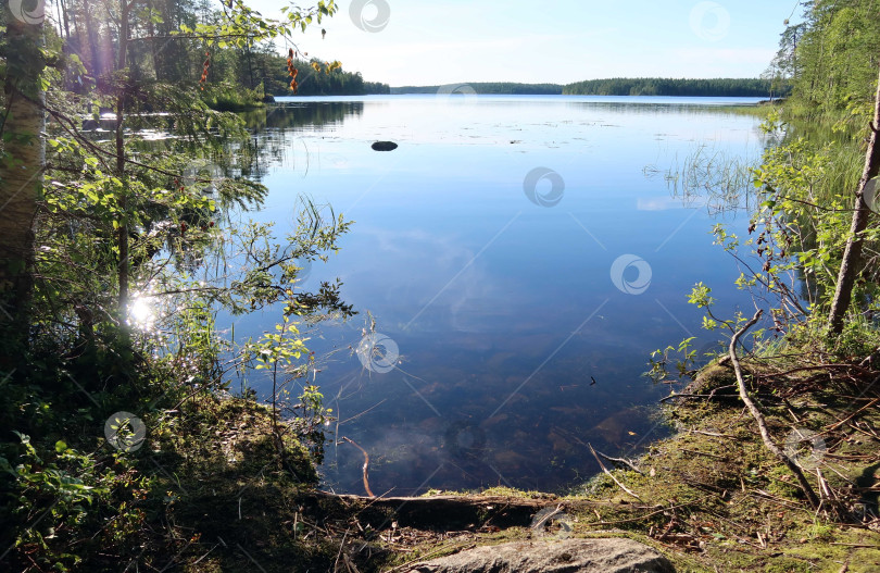 Скачать Утро на реке фотосток Ozero