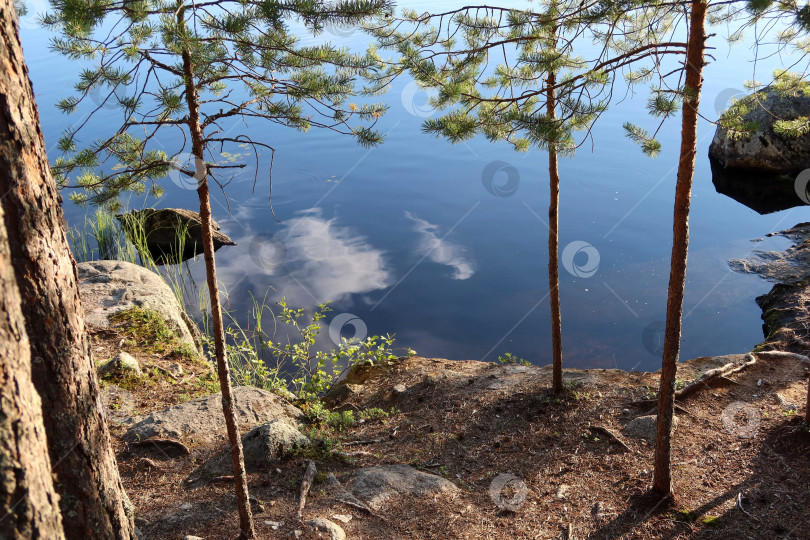 Скачать Утро на реке фотосток Ozero