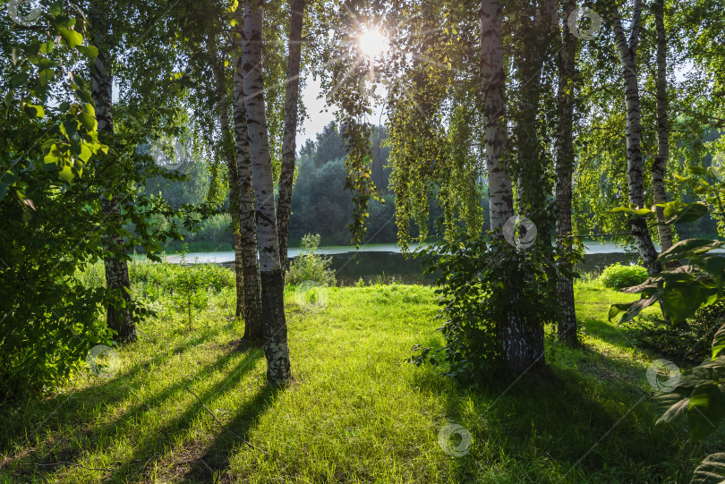 Скачать Летний день у озера фотосток Ozero