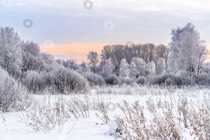 Скачать Зимний пейзаж фотосток Ozero