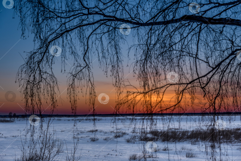 Скачать Зимний вечер фотосток Ozero