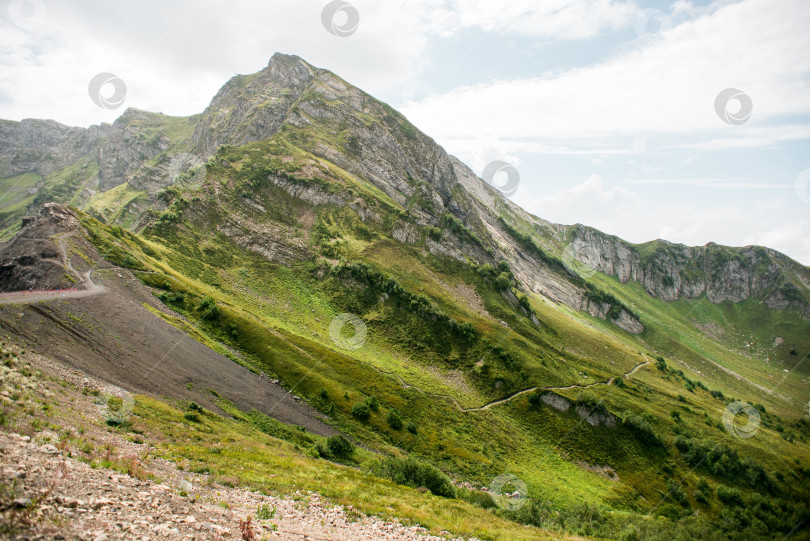 Скачать Горы с альпийскими лугами в Сочи. Красная Поляна. фотосток Ozero