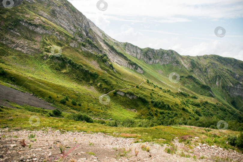 Скачать Горы с альпийскими лугами в Сочи. Красная Поляна. фотосток Ozero