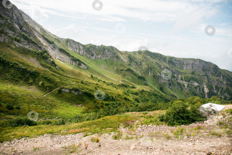 Скачать Горы с альпийскими лугами в Сочи. Красная Поляна. фотосток Ozero