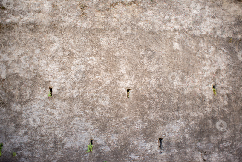 Скачать Текстура старой бетонной стены с маленькими отверстиями и зеленой травой. фотосток Ozero