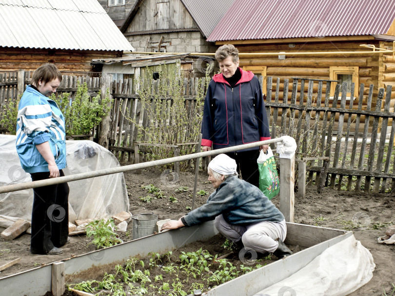 Скачать На огороде фотосток Ozero