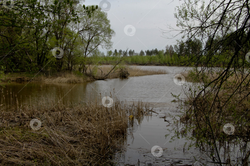 Скачать Протока фотосток Ozero