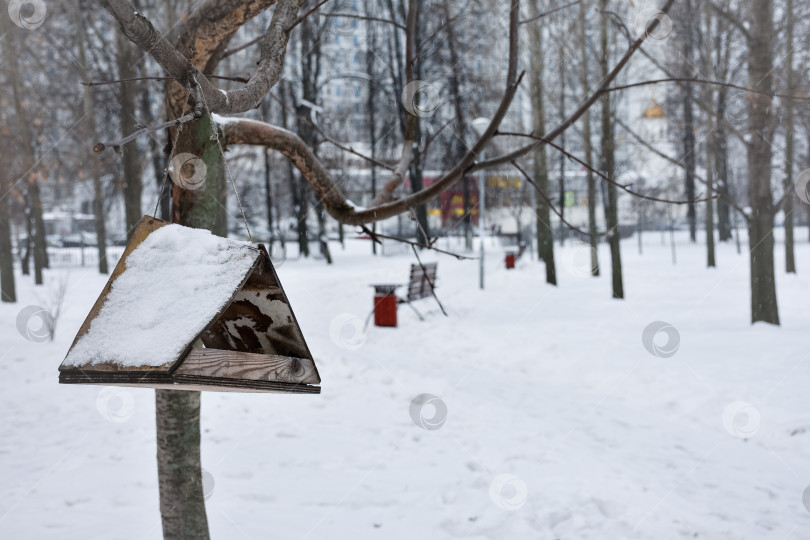 Скачать кормушка для птиц фотосток Ozero