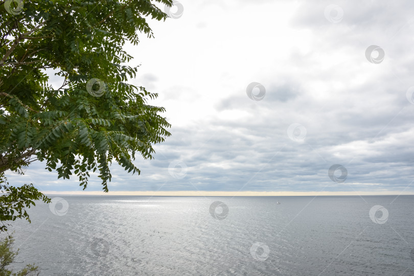 Скачать Красивый живописный морской пейзаж Черного моря, Анапа, Россия. Каменистый пляж Черного моря. морской пейзаж, вид на море с берега фотосток Ozero